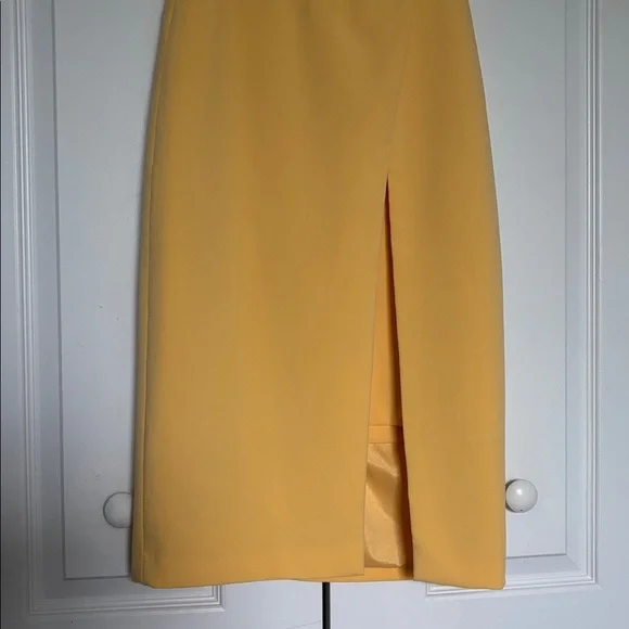 WHBM Yellow Sleeveless Sheath Dress - Picture 7 of 14